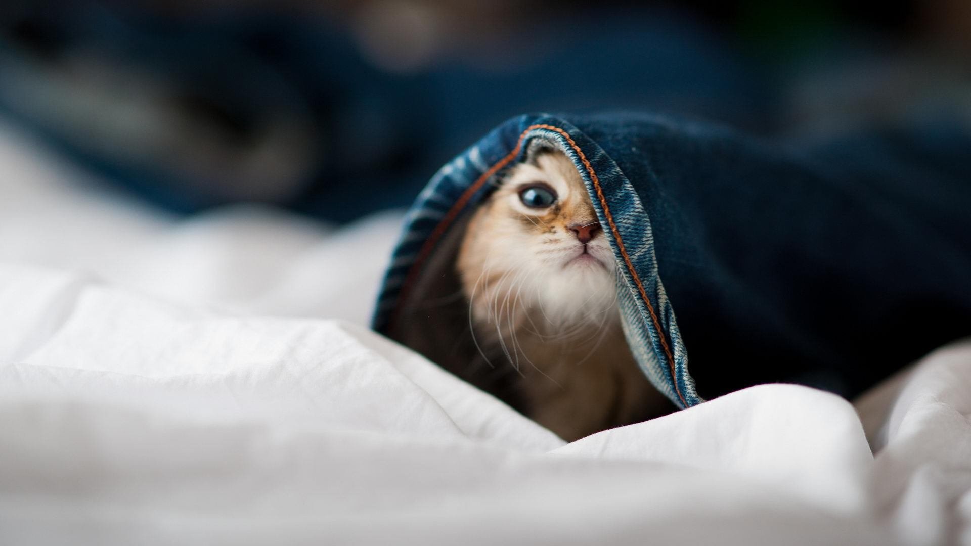 《CS_GO超级决战,现场气氛燃爆全场》,超哥csgo