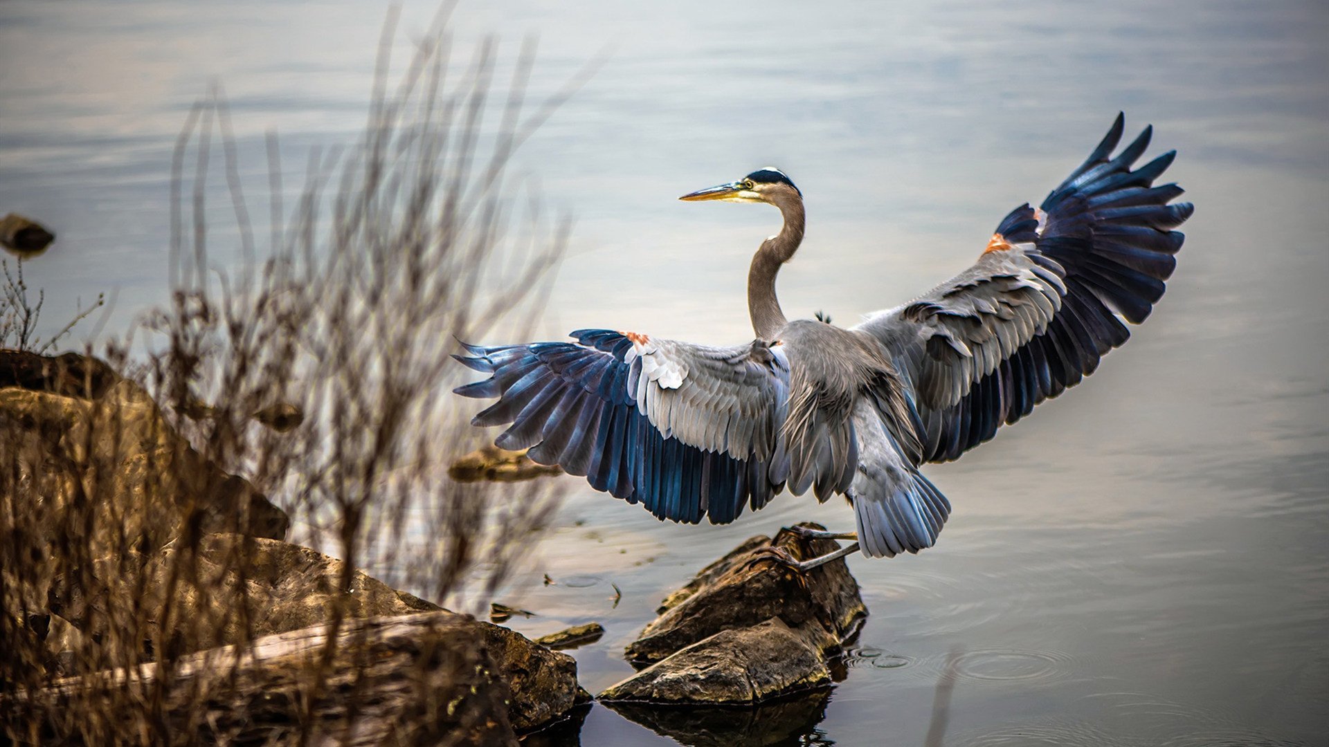 《CS_GO超级决战,现场气氛燃爆全场》,超哥csgo